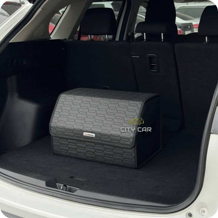 Premium Car Trunk Organizer - Eco-leather, Black Сhains, Black Thread